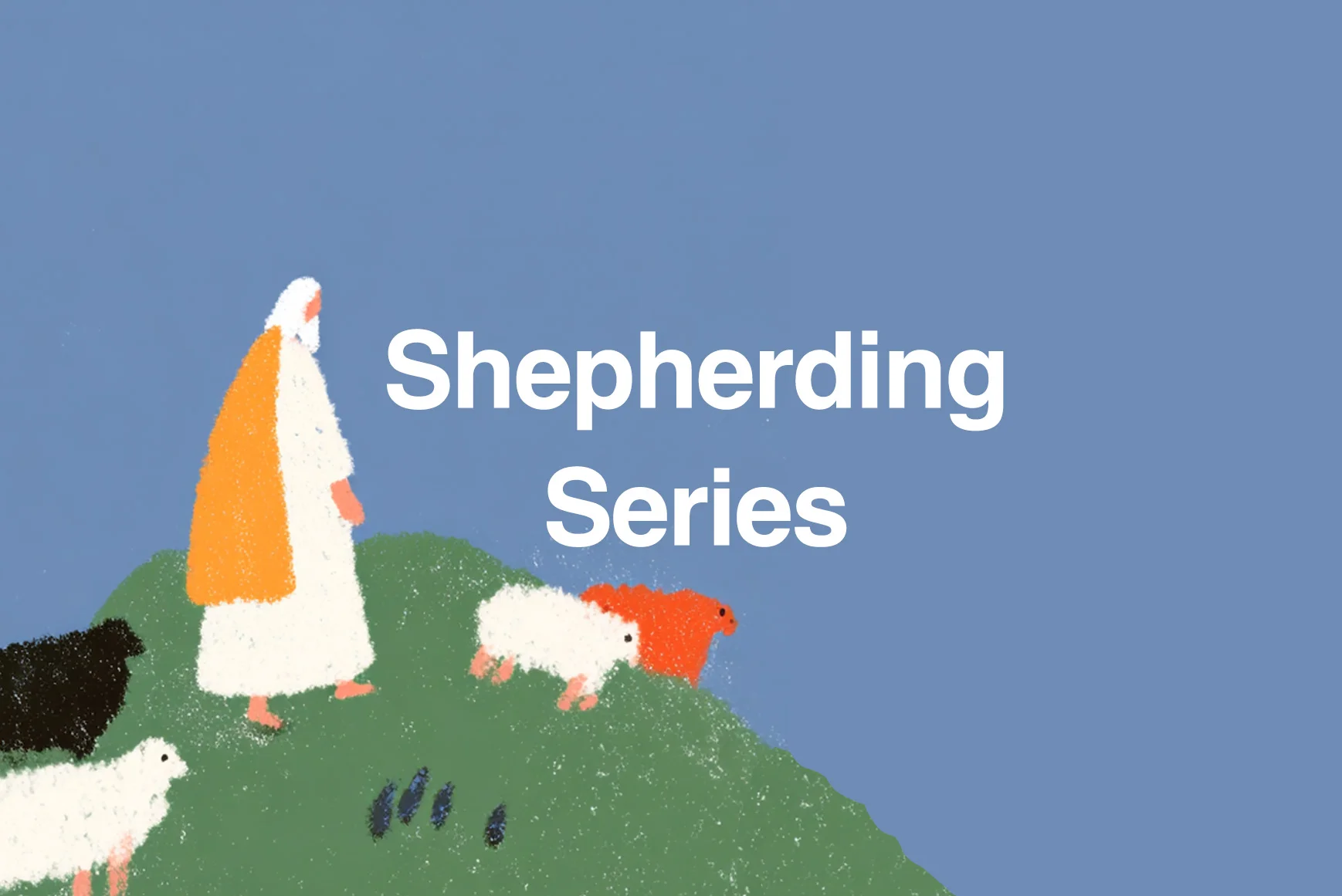 Shepherding Series