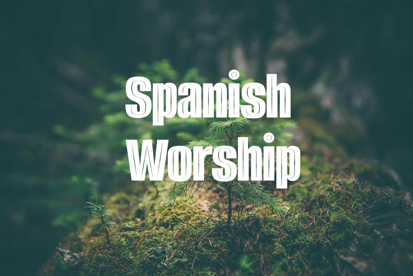 Spanish Worship