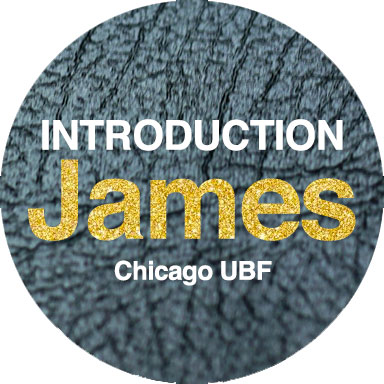 ubf chicago the book of james introduction